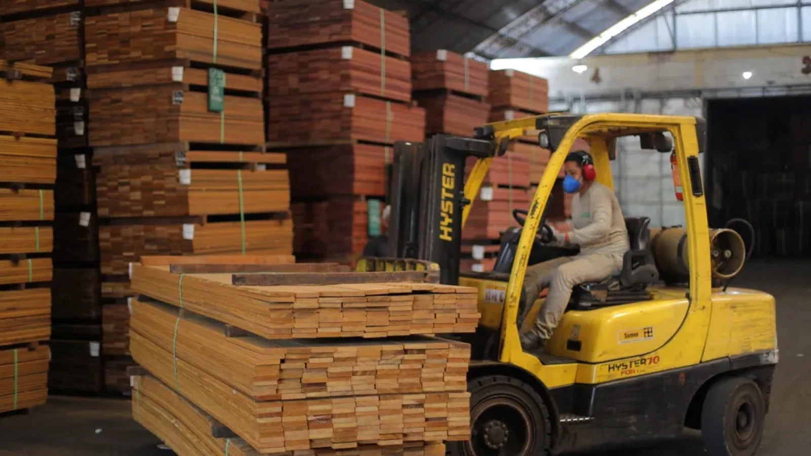 Exportações de madeira do Pará caem 16,4% e revelam desafios econômicos e impactos globais no setor